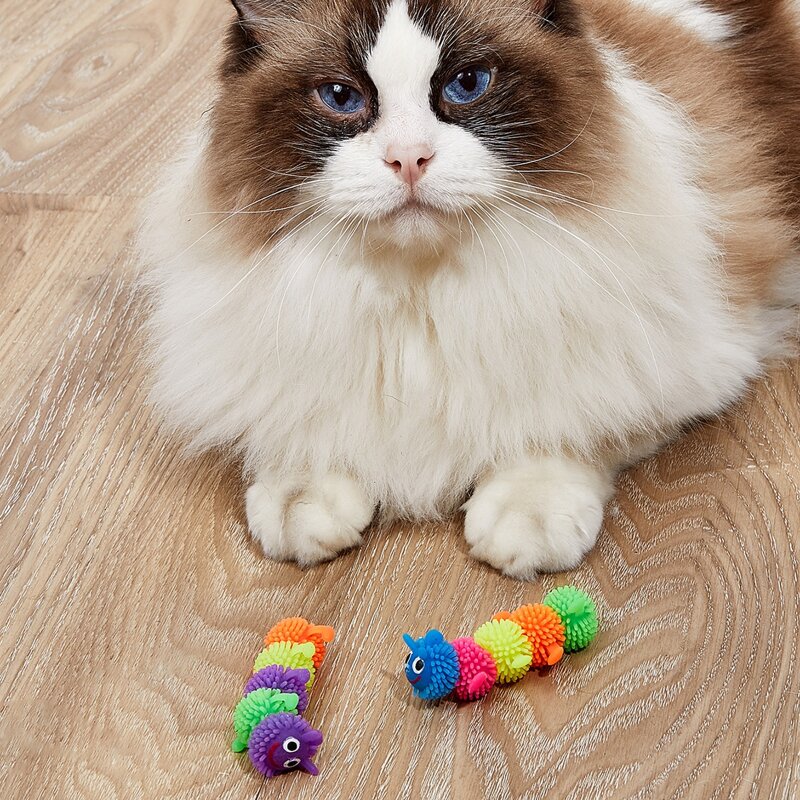 

1pc Random Caterpillar Design Cat Toy, Multicolor