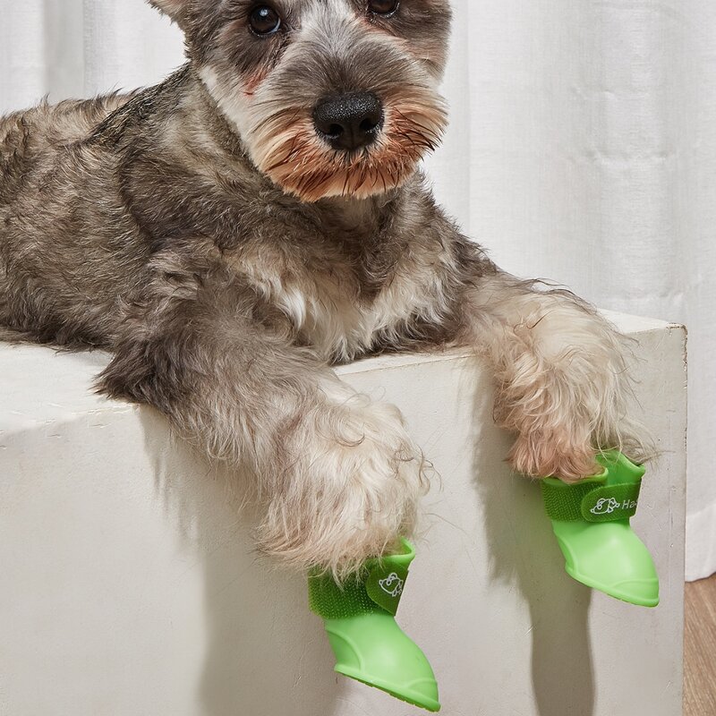 

4pcs Letter Graphic Pet Shoes, Green