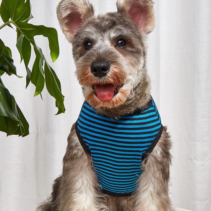 

Striped Pattern Pet Tank Top, Blue