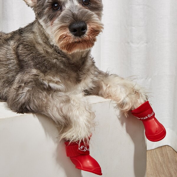 

4pcs Letter Graphic Pet Shoes, Red