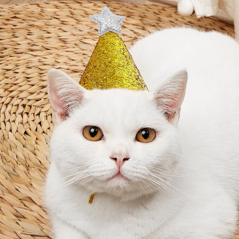 

1pc Pet Birthday Party Hat, Gold