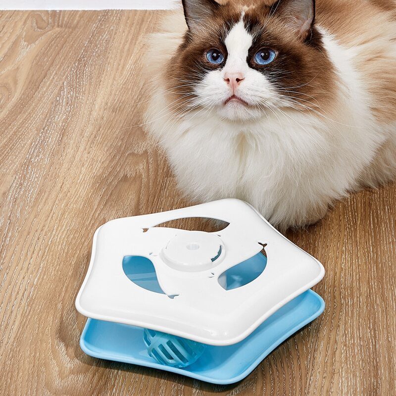 

Color Block Cat Track, Blue