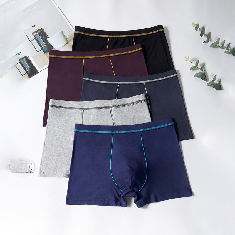 

Guys 5pcs Topstitching Boxer Brief, Multicolor