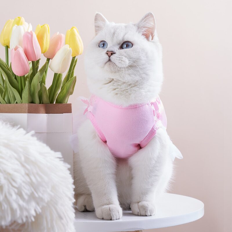 

Butterfly & Bow Decor Pet Dress, Pink