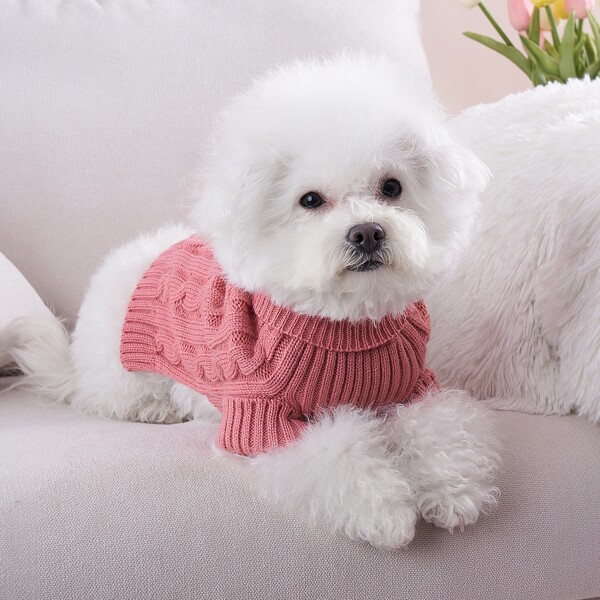 

Solid Color Pet Sweater, Watermelon pink