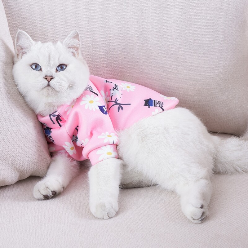 

Daisy Print Pet Sweatshirt, Pink