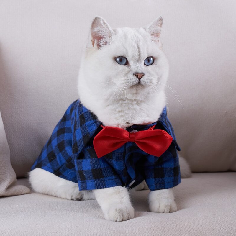 

Gingham Pattern Pet Shirt, Royal blue