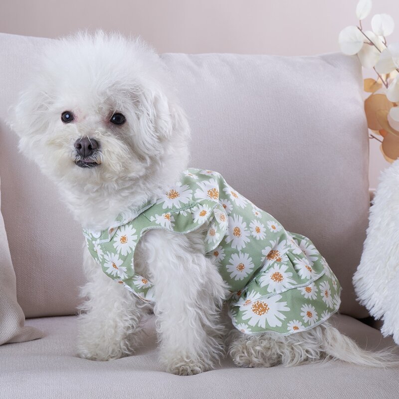 

Daisy Print Pet Dress, Green