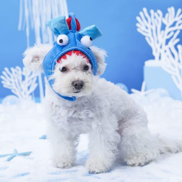 

Cartoon Shark Pet Headwear, Blue
