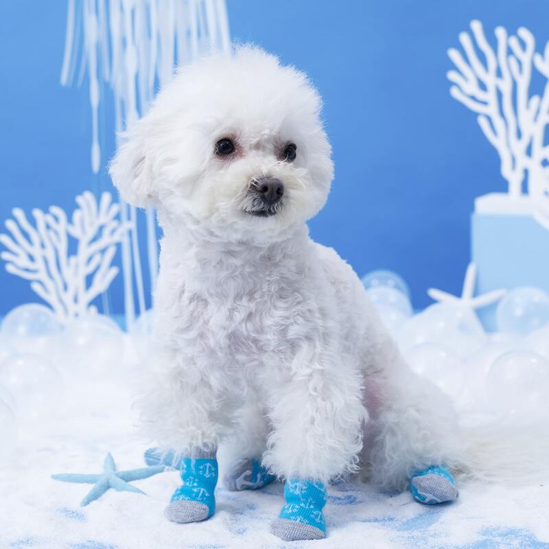 

4pcs Anchor Knitted Pet Socks, Blue