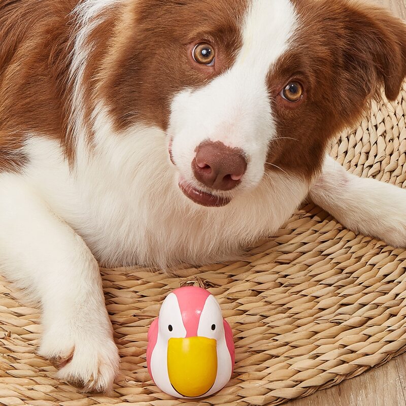 

Parrot Shaped Pet Sound Toy, Multicolor