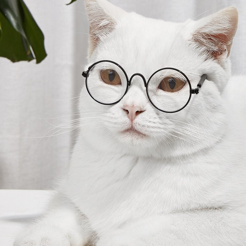 

1pair Round Pet Glasses, Black