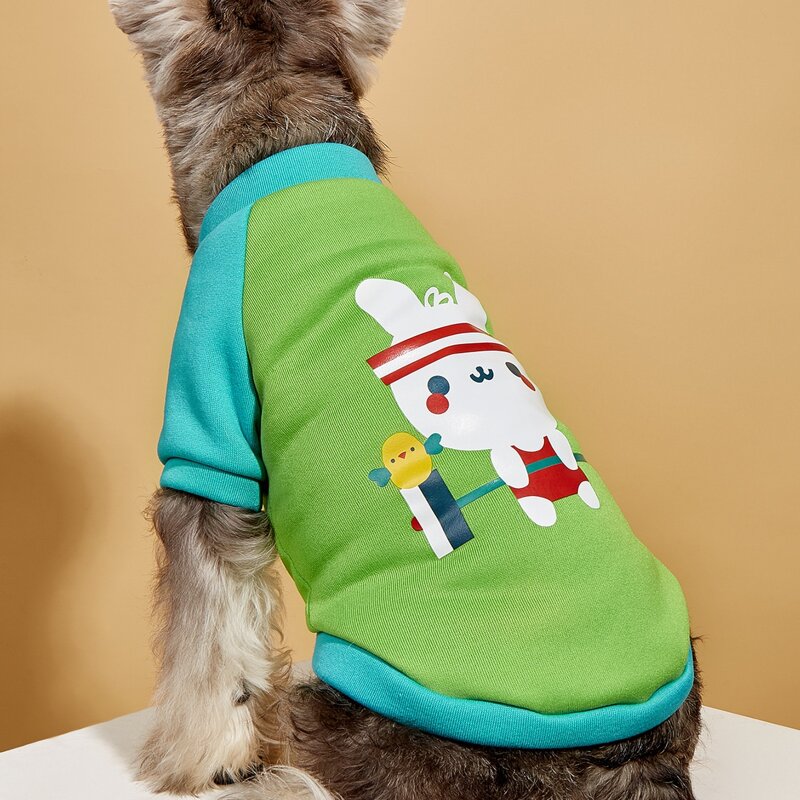 

Cartoon Graphic Pet Sweatshirt, Green