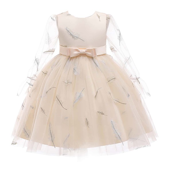 

Girls Feather Embroidery Mesh Gown Dress, Champagne