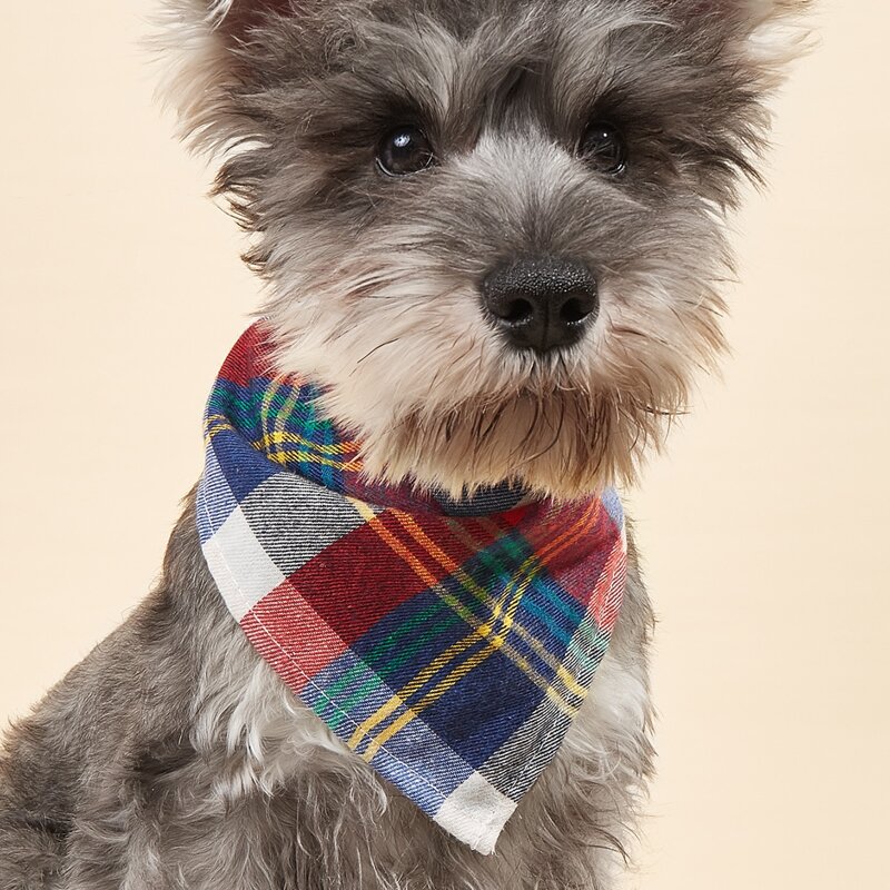 

Plaid Pattern Pet Bandana, Multicolor
