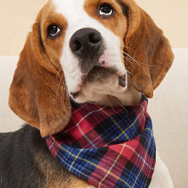 

Plaid Pattern Pet Bandana, Multicolor
