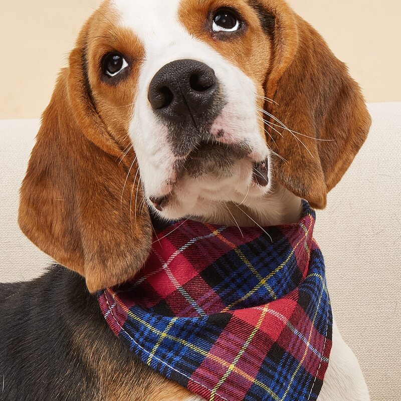 

Plaid Pattern Pet Bandana, Multicolor
