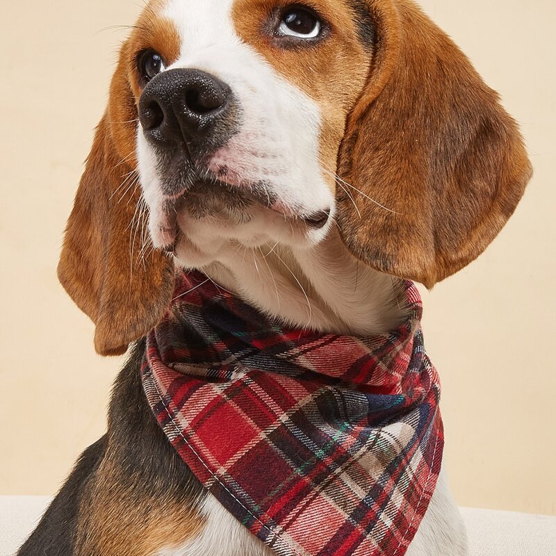 

Plaid Pattern Pet Bandana, Red