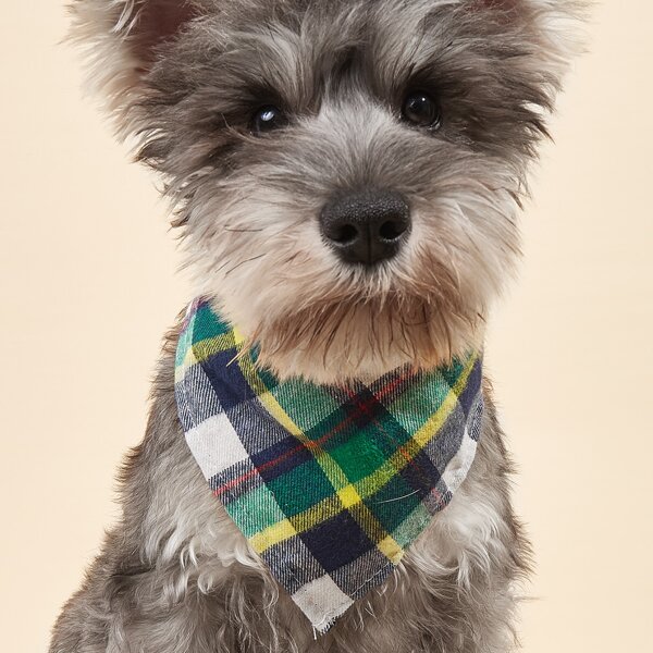 

Plaid Pattern Pet Bandana, Multicolor