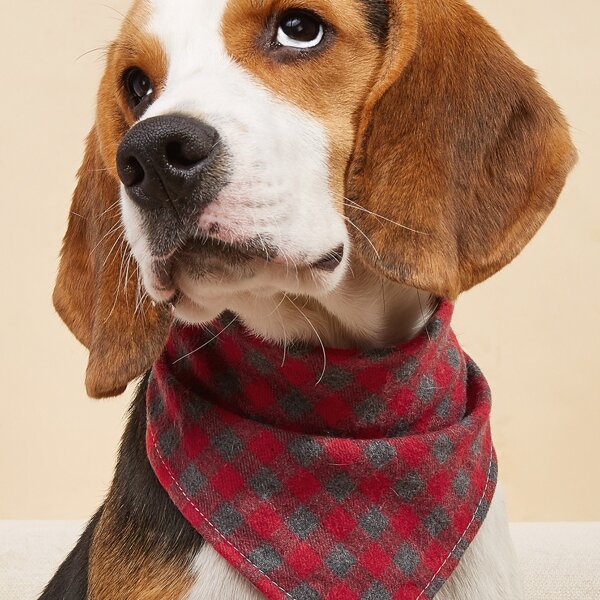 

Gingham Pattern Pet Bandana, Red