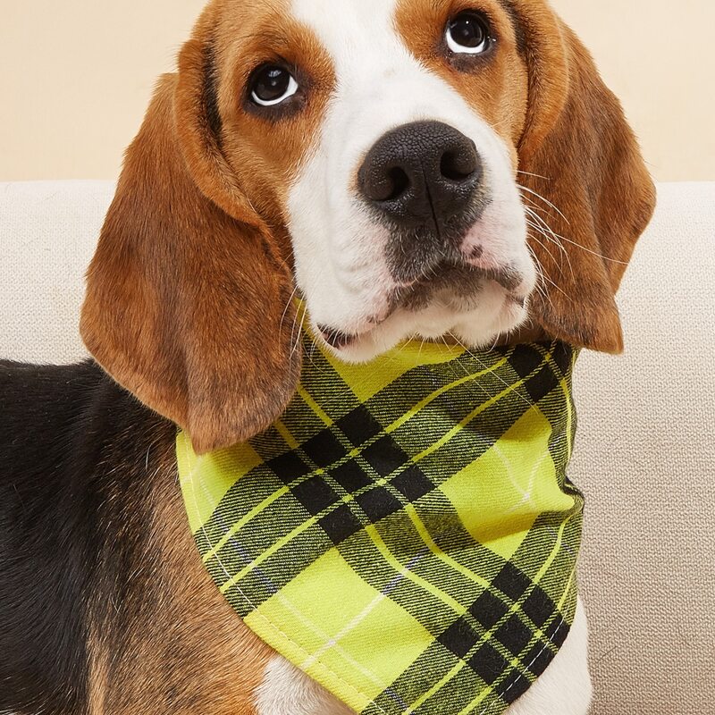 

Striped Pattern Pet Bandana, Yellow