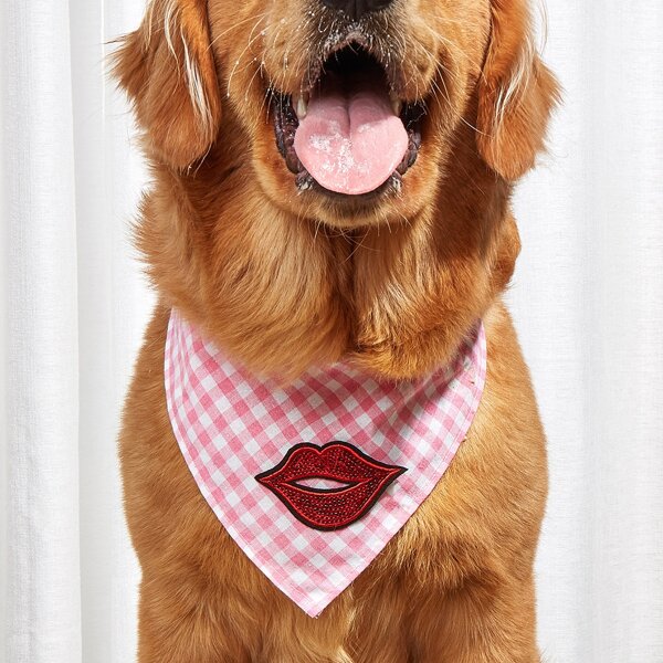 

Lip & Gingham Pattern Pet Bandana, Pink