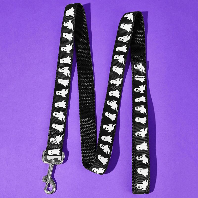 

1pc Random Pattern Pet Leash, Multicolor