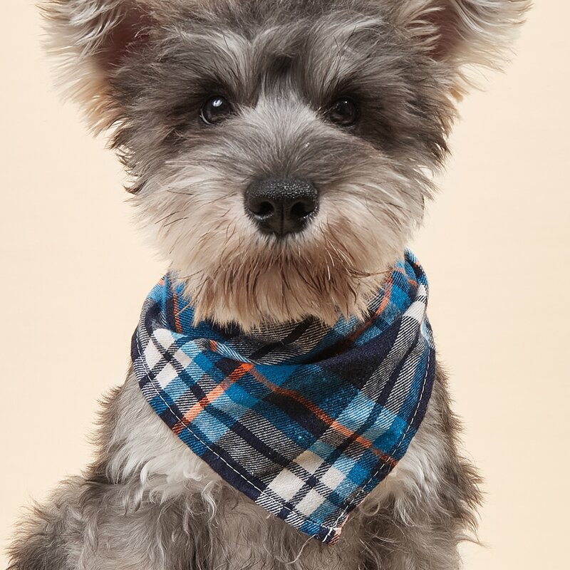 

Plaid Pattern Pet Bandana, Multicolor