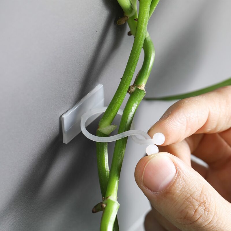 10pcs Plant Climbing Wall Fixer, White