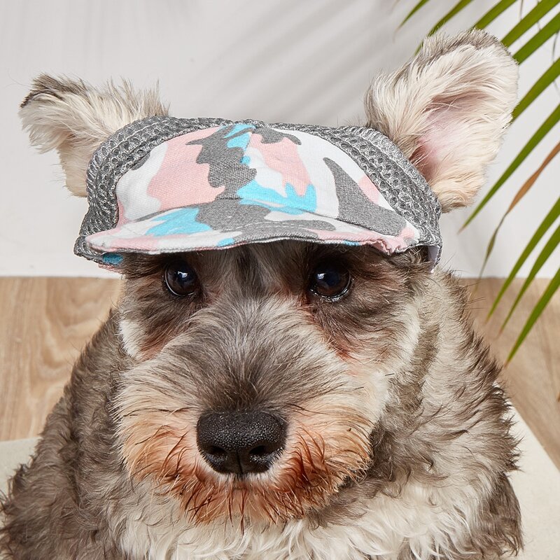 

Camo Pattern Pet Hat, Multicolor