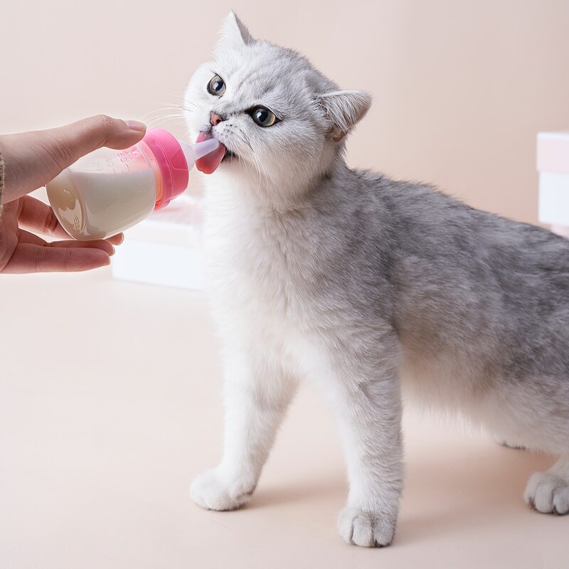 

1pc Pet Feeding Bottle, Pink
