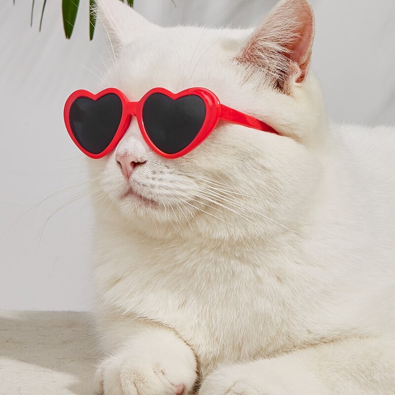 

1pair Heart Pet Glasses, Red