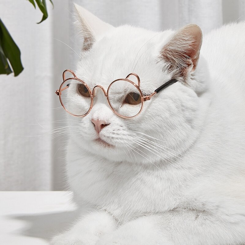 

1pair Round Lens Pet Glasses, Clear