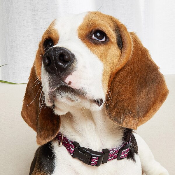 

Geometric Pattern Pet Collar, Multicolor