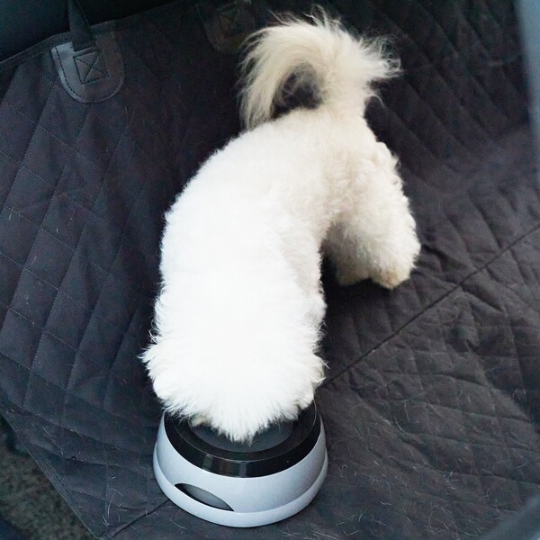 

1pc Portable Pet Bowl, Grey