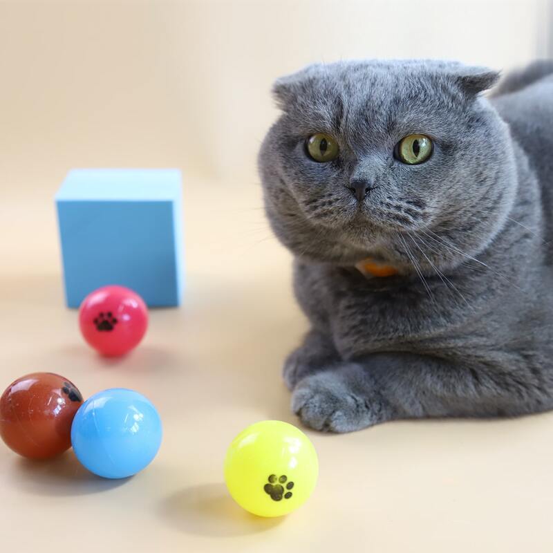 

4pcs Ball Design Pet Sound Toy, Multicolor