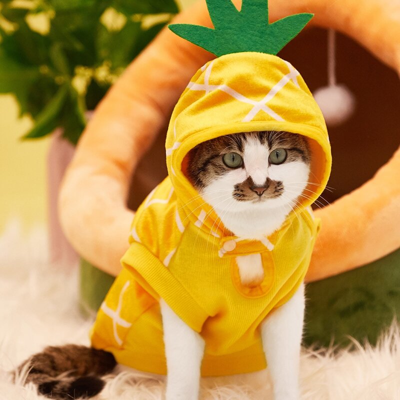 

Pineapple Design Pet Costume, Yellow