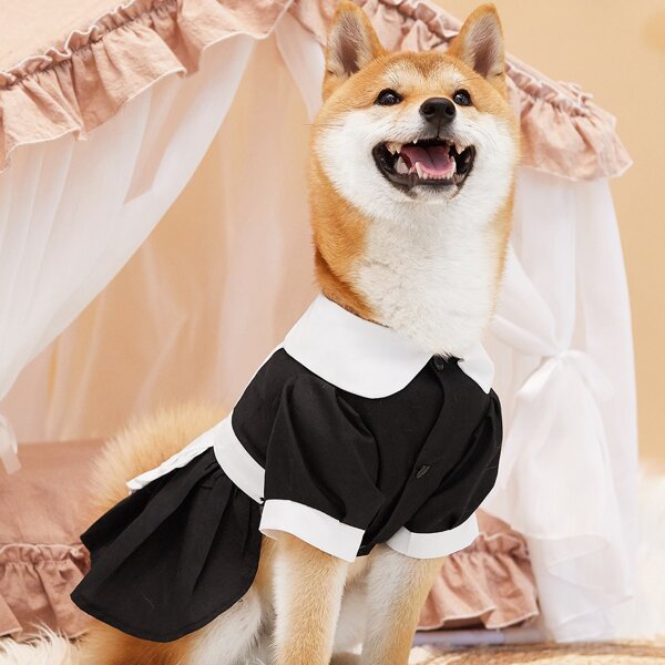 

Maid Design Pet Costume, Black and white