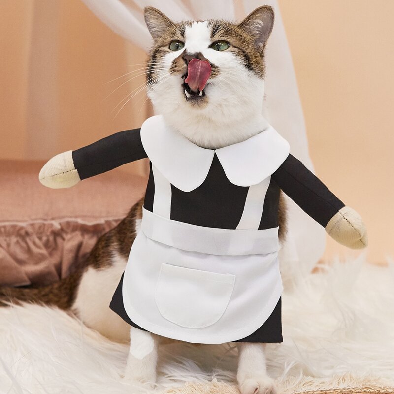 

Maid Design Pet Costume, Black and white