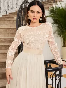 SHEIN Belle Kleid mit Reißverschluss hinten, mit Applikations-Detail, durchsichtiger Mesh-Überlage, elegant mit langen Ärmeln, für formelle Abendveranstaltungen, Abschlussball, Dinner-Party, Hochzeitsgast