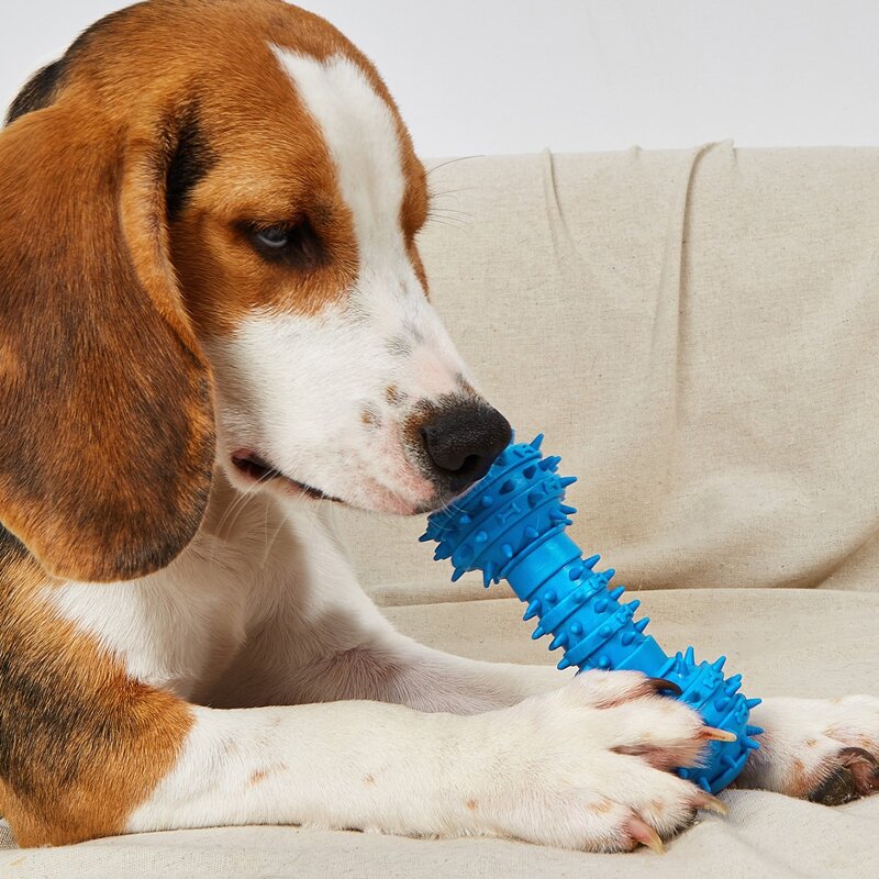 

Barbell Shaped Pet Chew Toy, Blue