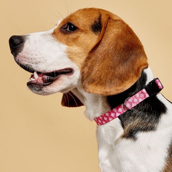 

Geometric Pattern Dog Collar, Red