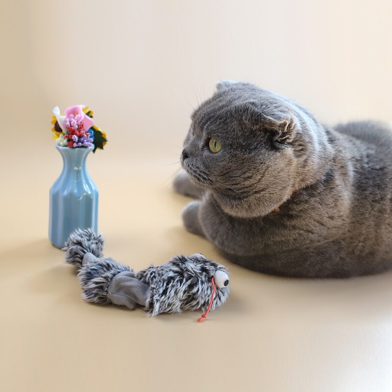 

1pc Cartoon Design Cat Teaser Toy, Grey