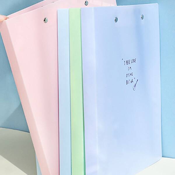 

1pc Slogan Graphic Random Folder, Multicolor