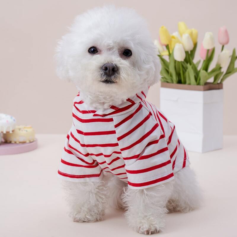 

Striped Pattern Pet Hoodie, Red and white