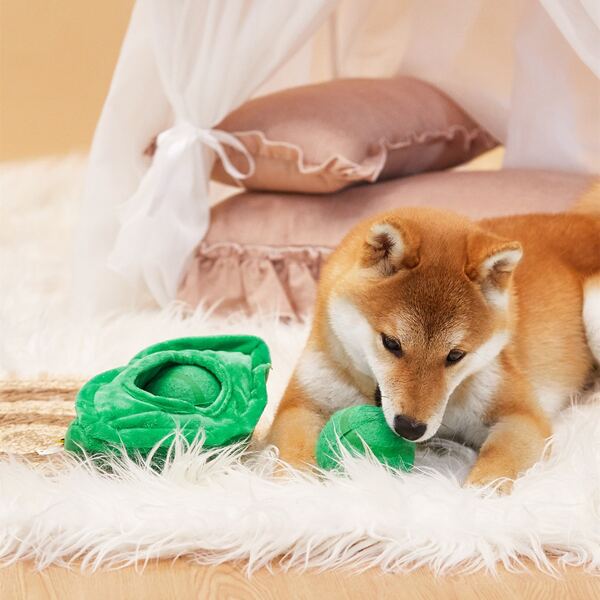

3pcs Pea Design Pet Toy Set, Green