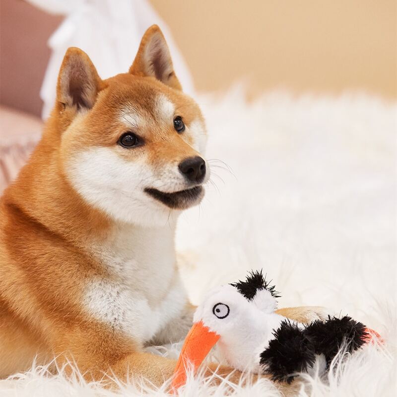 

Bird Shaped Pet Plush Toy, Multicolor