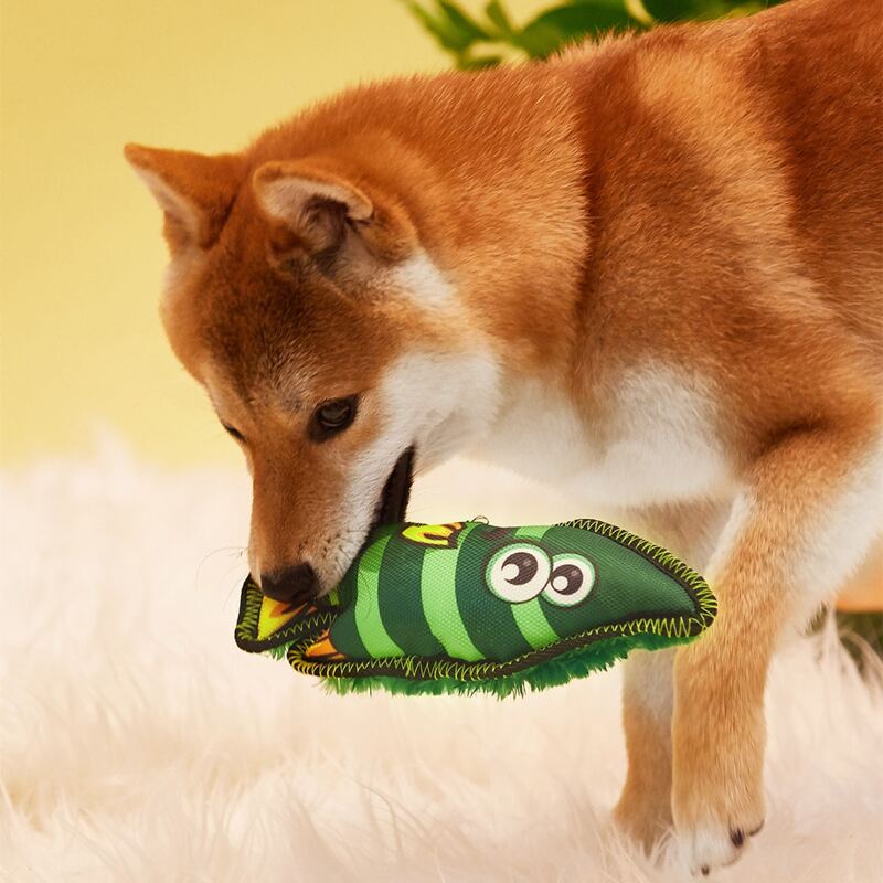 

Fish Shaped Pet Plush Toy, Dark green