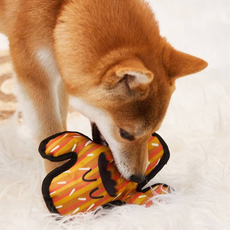 

Cactus Shaped Pet Plush Toy, Orange