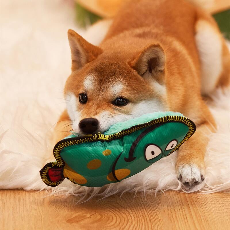 

Fish Shaped Pet Plush Toy, Mint blue